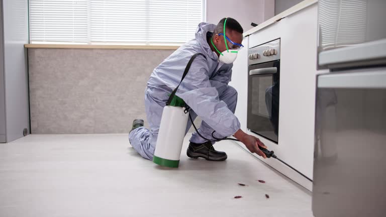 Best Residential Pest Control  in Inesville, GA